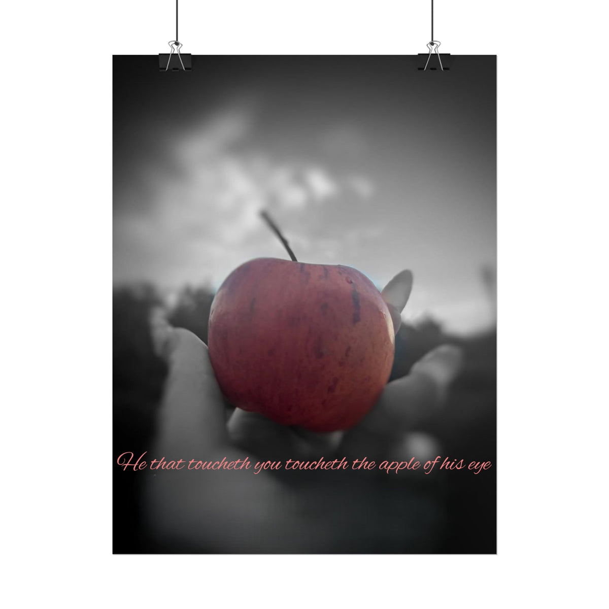 Rolled Poster — Lydia Alex Photography   "He that toucheth you toucheth the apple of his eye"