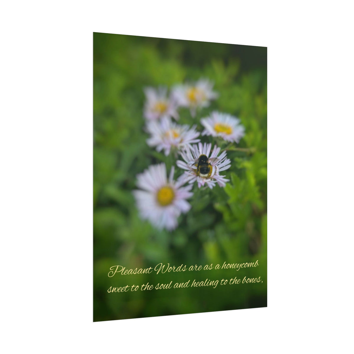 Rolled Poster — Lydia Alex Photography   "Pleasant words are as a honeycomb"