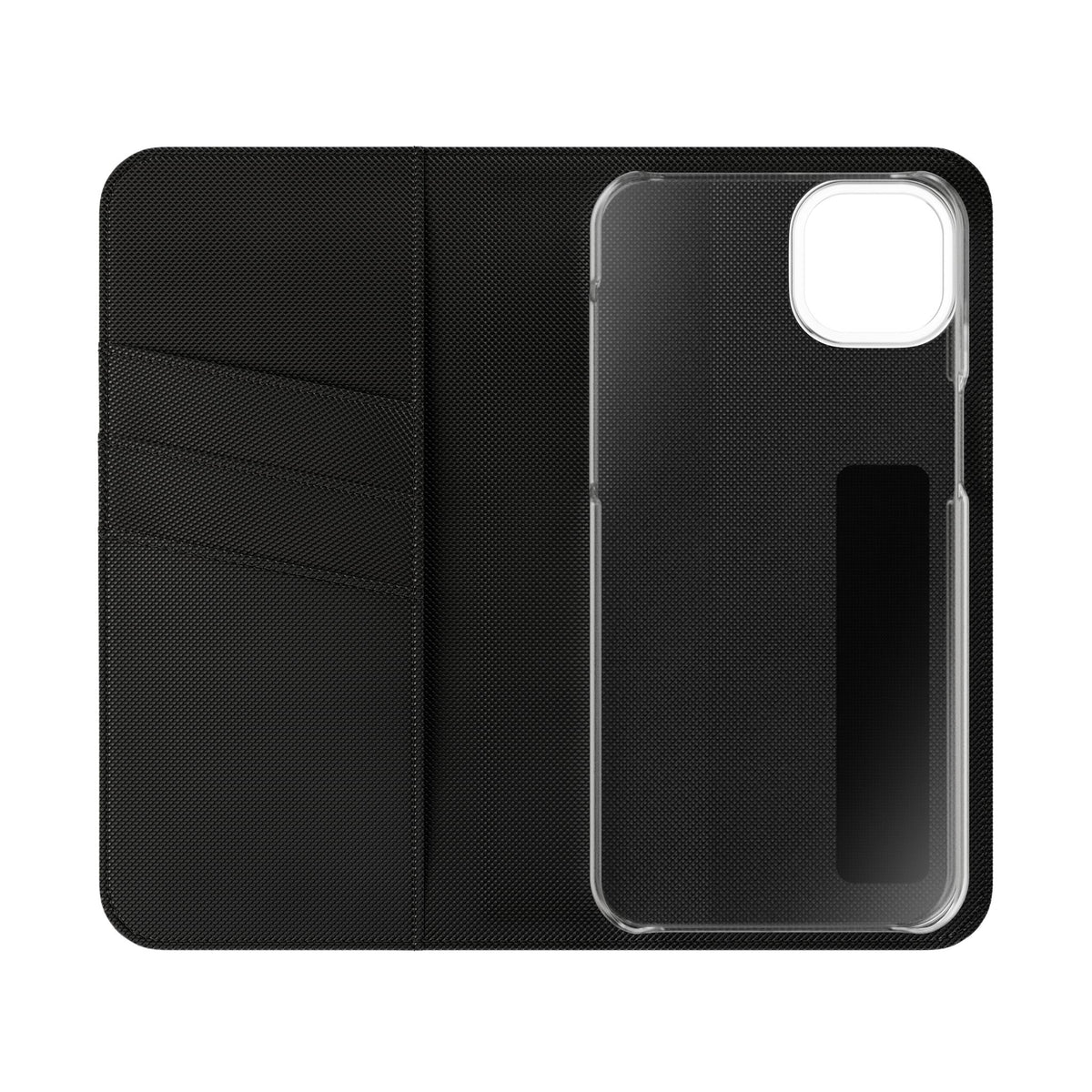 Body of Belief Flip Case