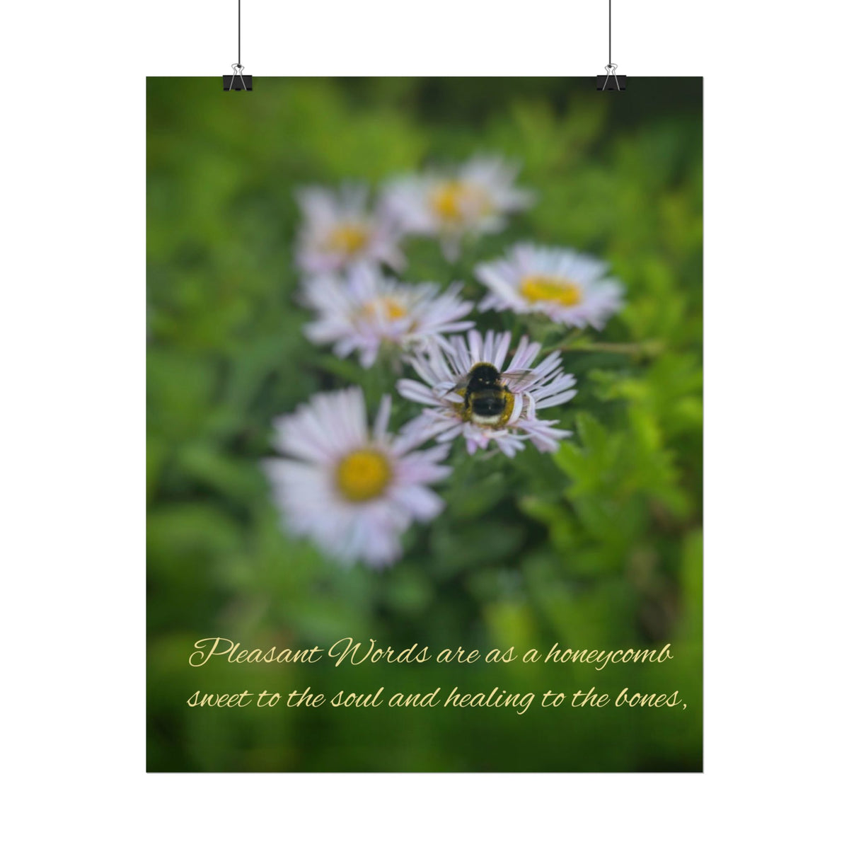 Rolled Poster — Lydia Alex Photography   "Pleasant words are as a honeycomb"