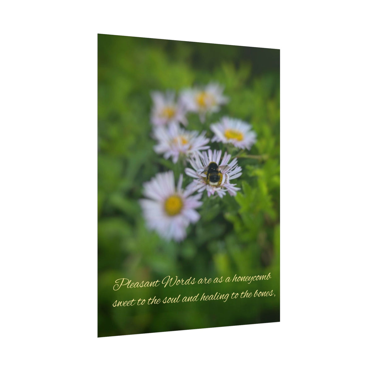 Rolled Poster — Lydia Alex Photography   "Pleasant words are as a honeycomb"