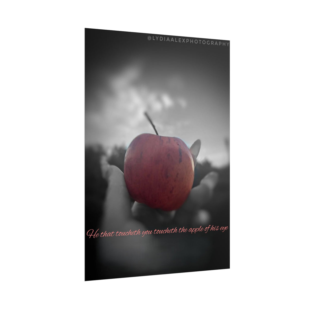 Rolled Poster — Lydia Alex Photography   "He that toucheth you toucheth the apple of his eye"