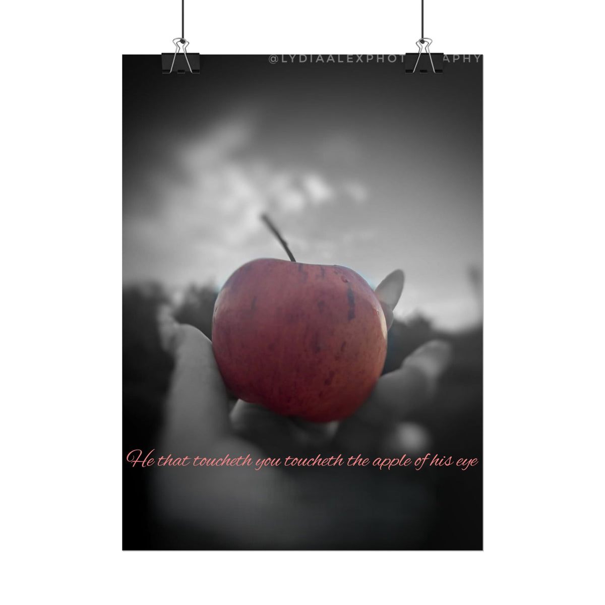 Rolled Poster — Lydia Alex Photography   "He that toucheth you toucheth the apple of his eye"