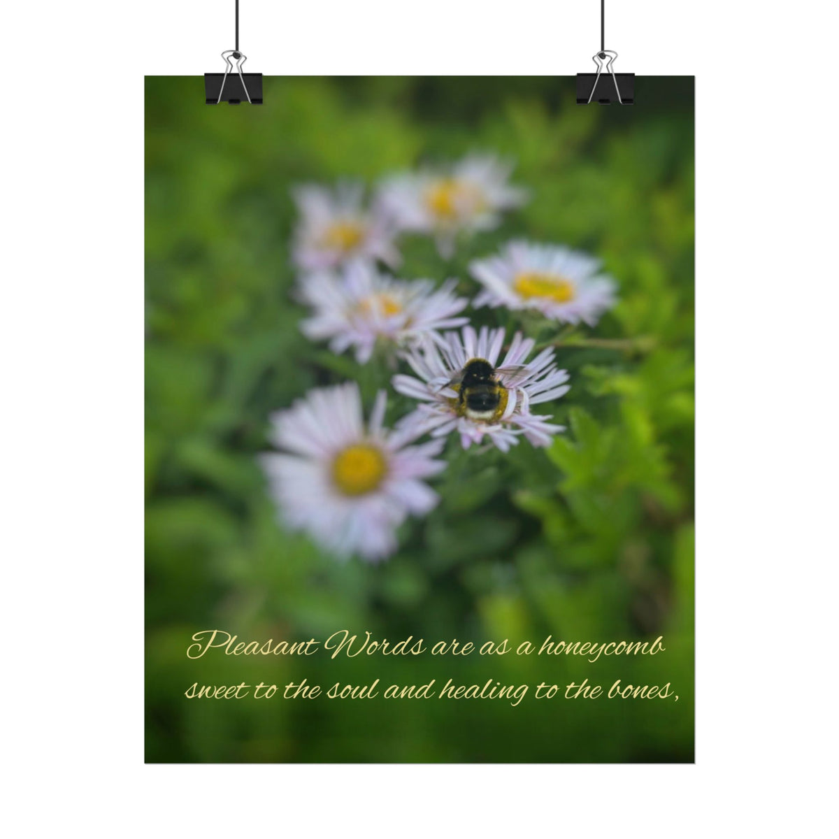 Rolled Poster — Lydia Alex Photography   "Pleasant words are as a honeycomb"