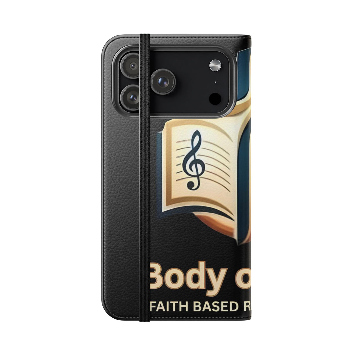 Body of Belief Flip Case