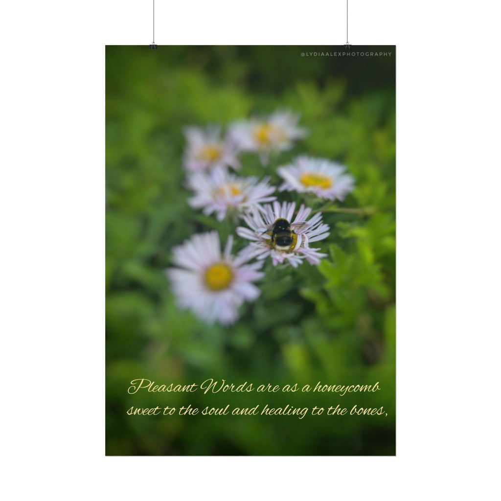 Rolled Poster — Lydia Alex Photography   "Pleasant words are as a honeycomb"