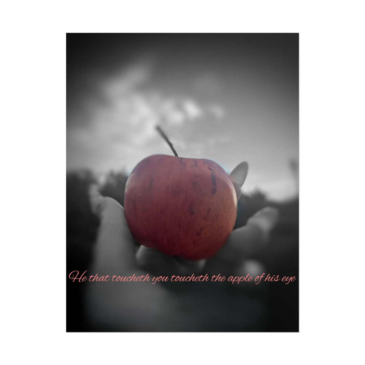 Rolled Poster — Lydia Alex Photography   "He that toucheth you toucheth the apple of his eye"