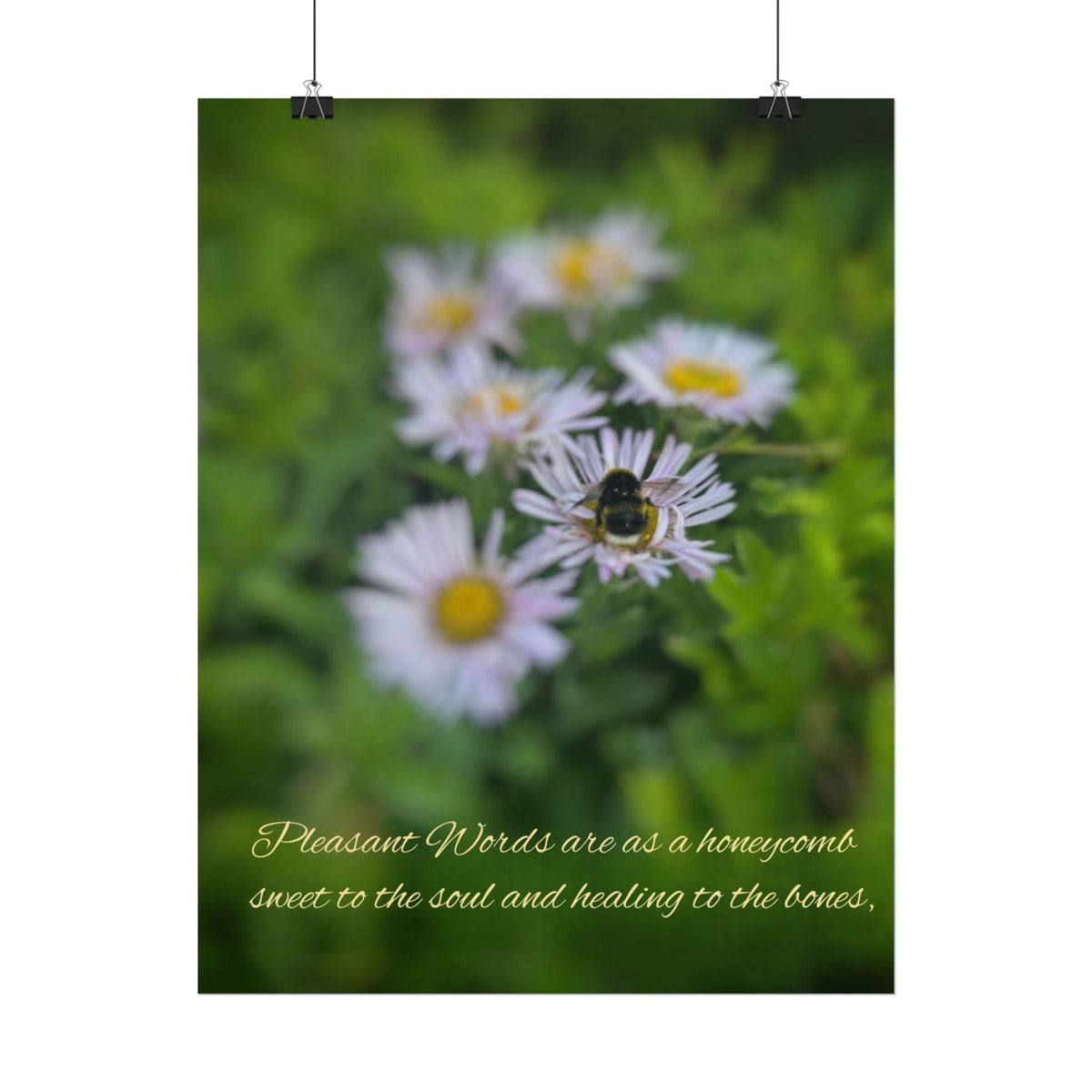 Rolled Poster — Lydia Alex Photography   "Pleasant words are as a honeycomb"
