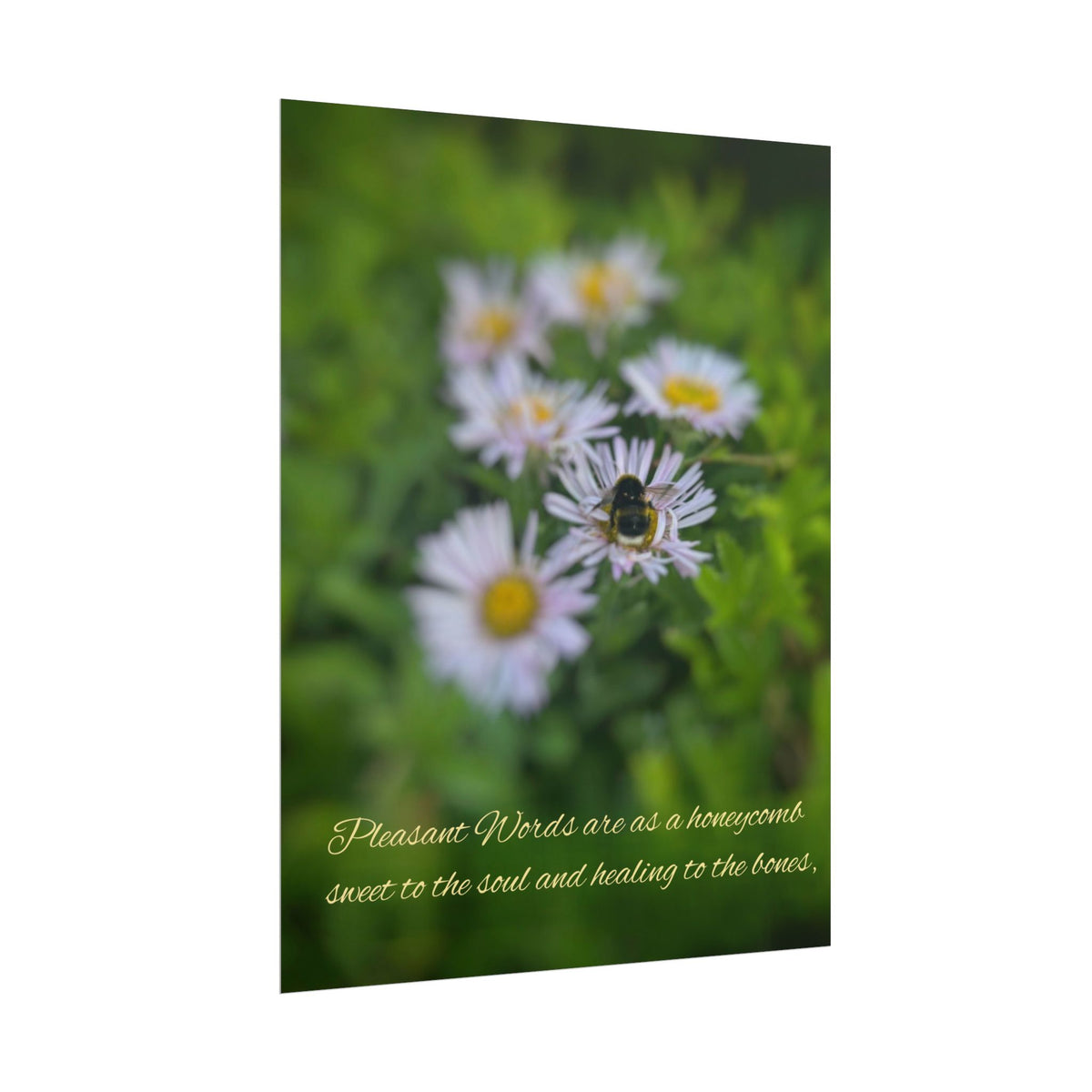 Rolled Poster — Lydia Alex Photography   "Pleasant words are as a honeycomb"