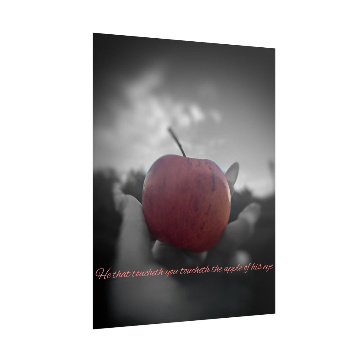 Rolled Poster — Lydia Alex Photography   "He that toucheth you toucheth the apple of his eye"