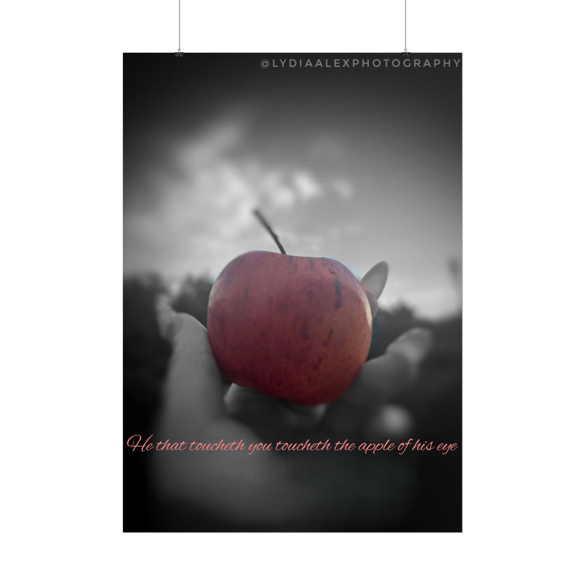 Rolled Poster — Lydia Alex Photography   "He that toucheth you toucheth the apple of his eye"