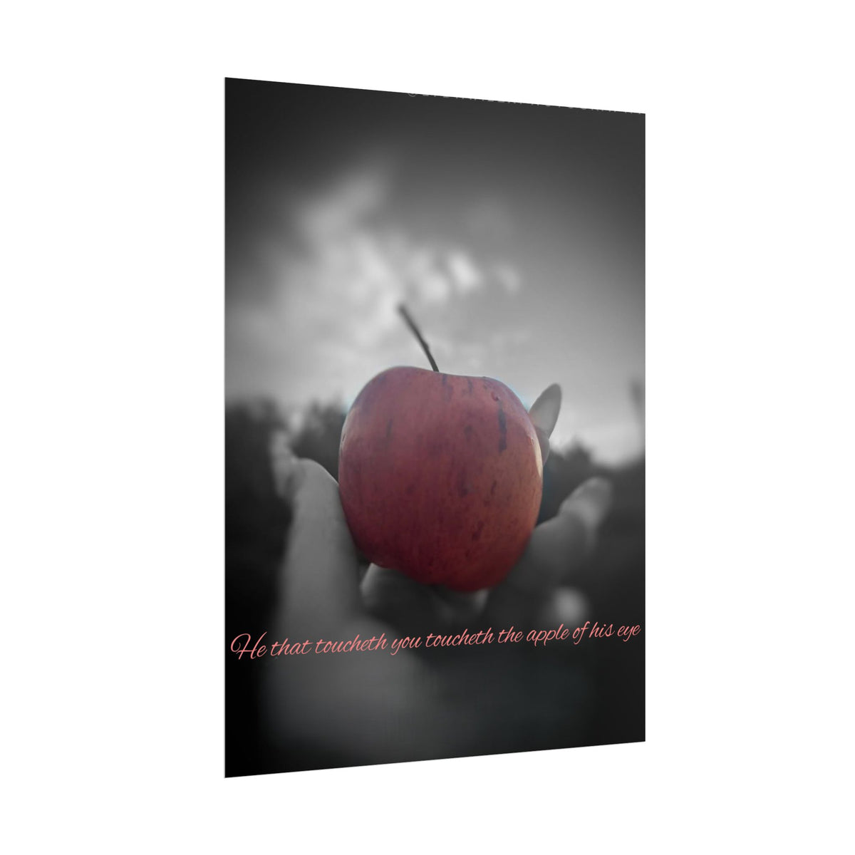 Rolled Poster — Lydia Alex Photography   "He that toucheth you toucheth the apple of his eye"