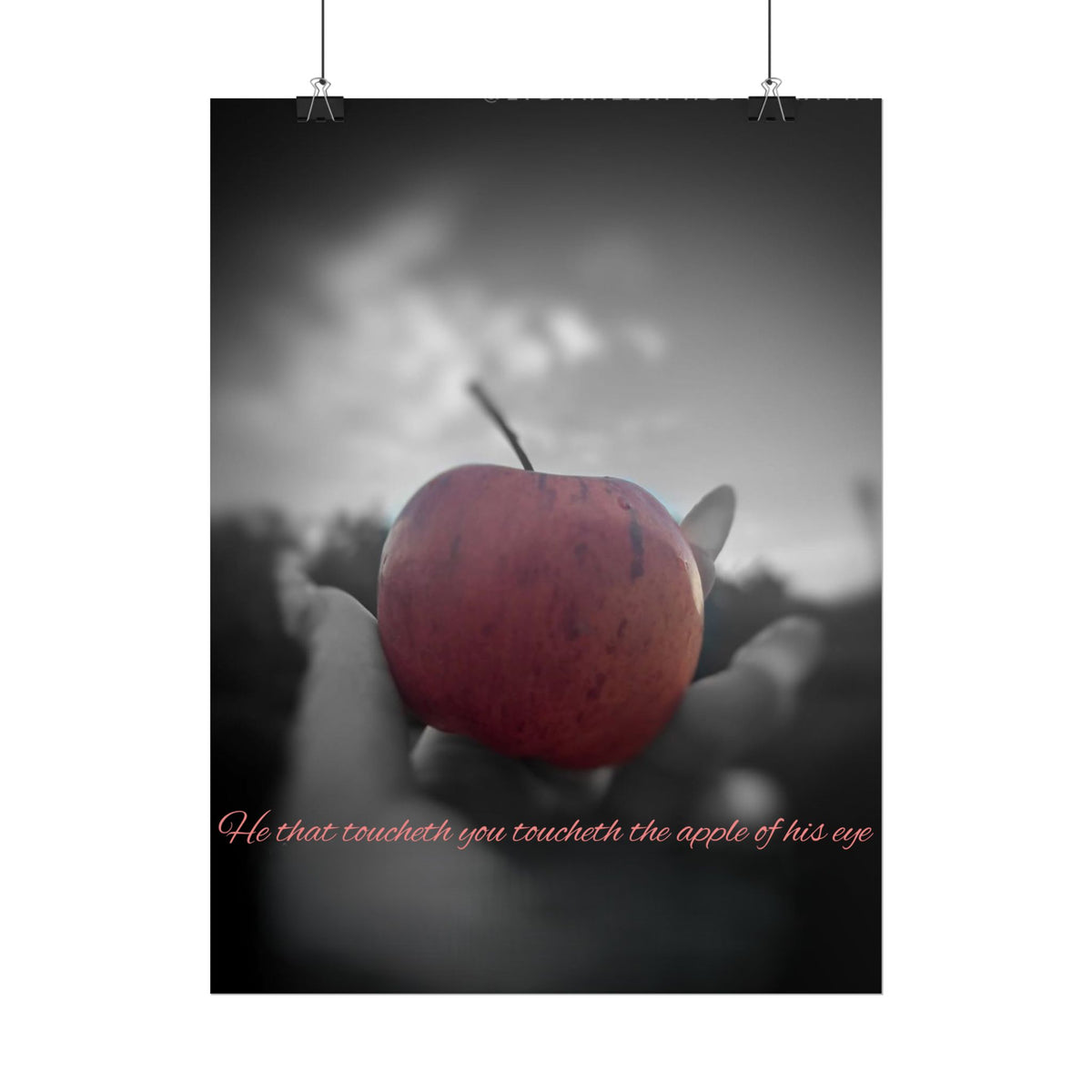 Rolled Poster — Lydia Alex Photography   "He that toucheth you toucheth the apple of his eye"