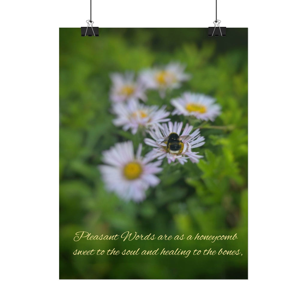Rolled Poster — Lydia Alex Photography   "Pleasant words are as a honeycomb"