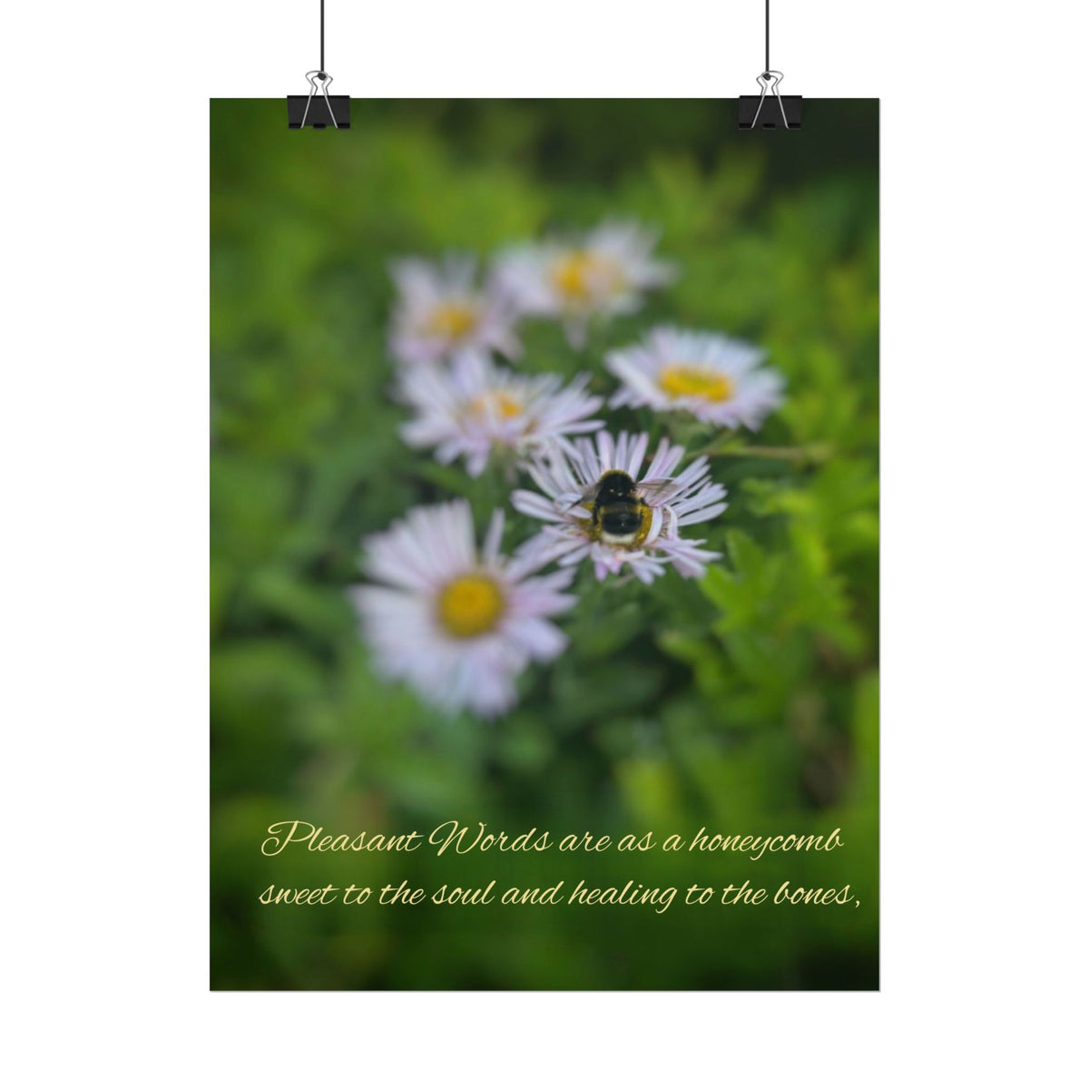 Rolled Poster — Lydia Alex Photography   "Pleasant words are as a honeycomb"