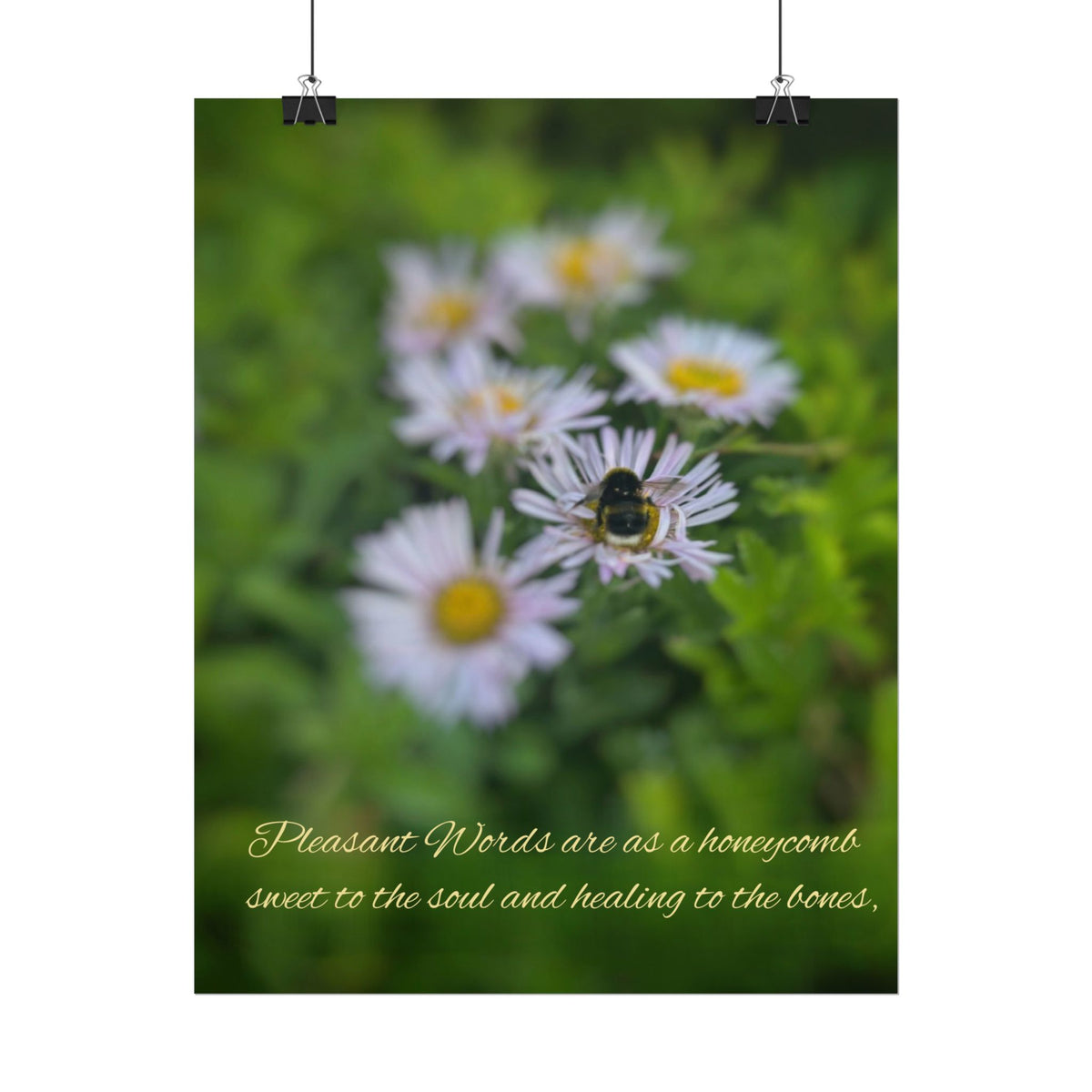 Rolled Poster — Lydia Alex Photography   "Pleasant words are as a honeycomb"