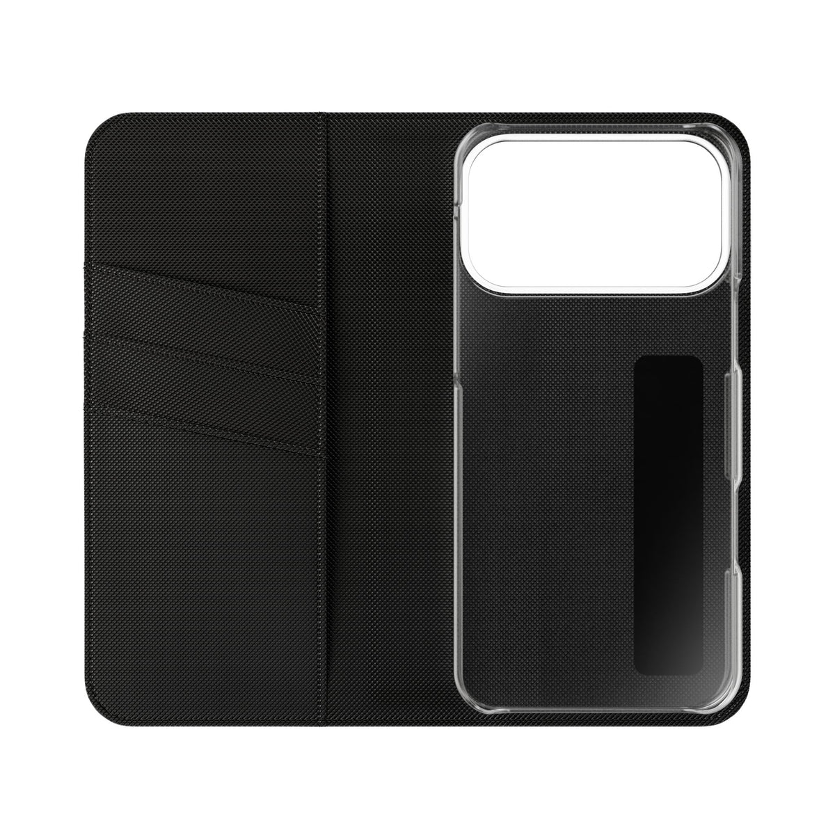 Body of Belief Flip Case