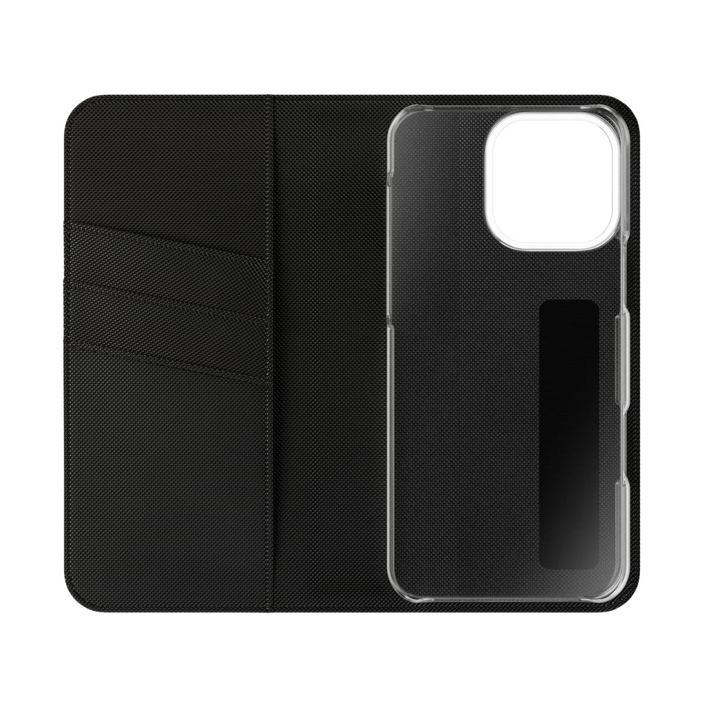 Body of Belief Flip Case
