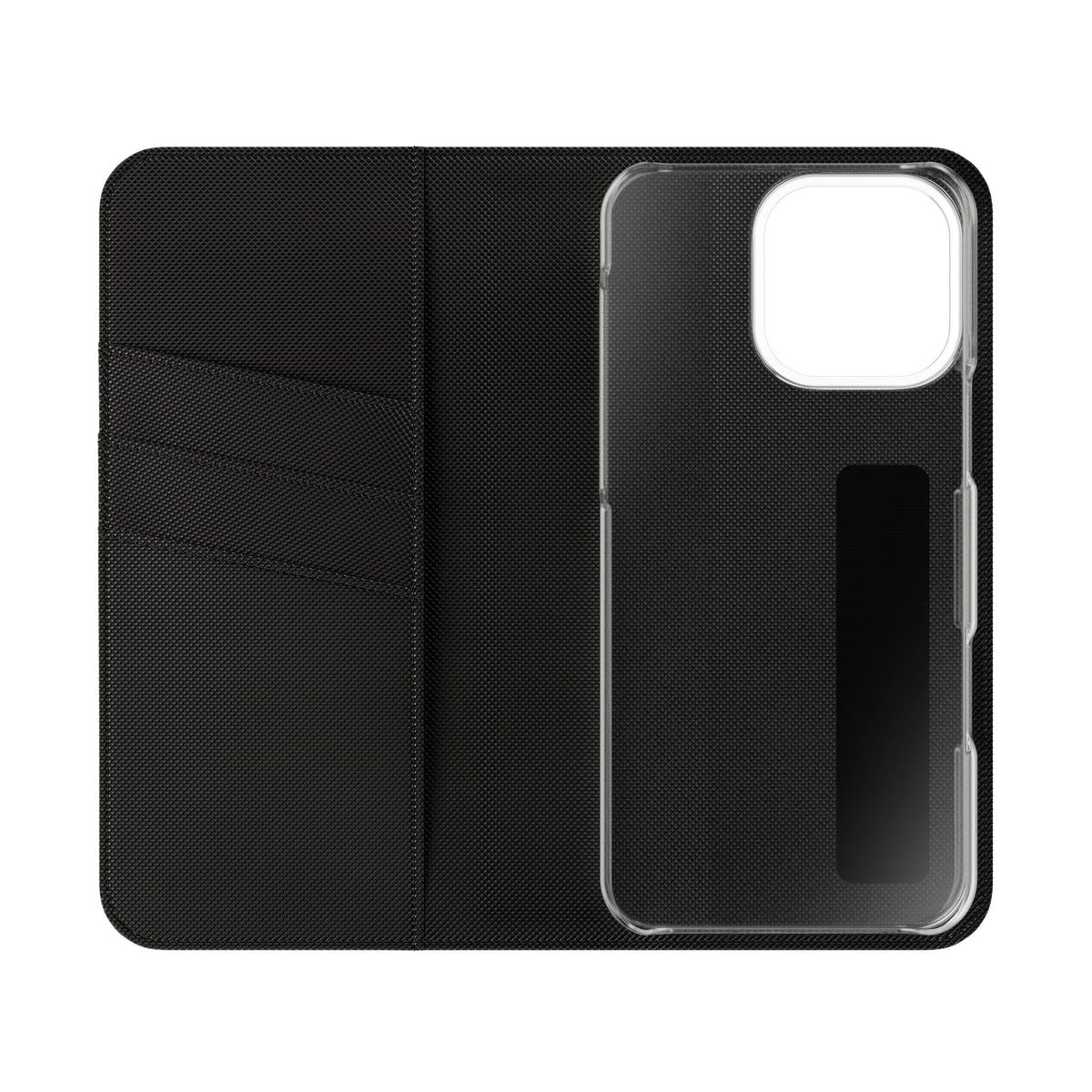 Body of Belief Flip Case