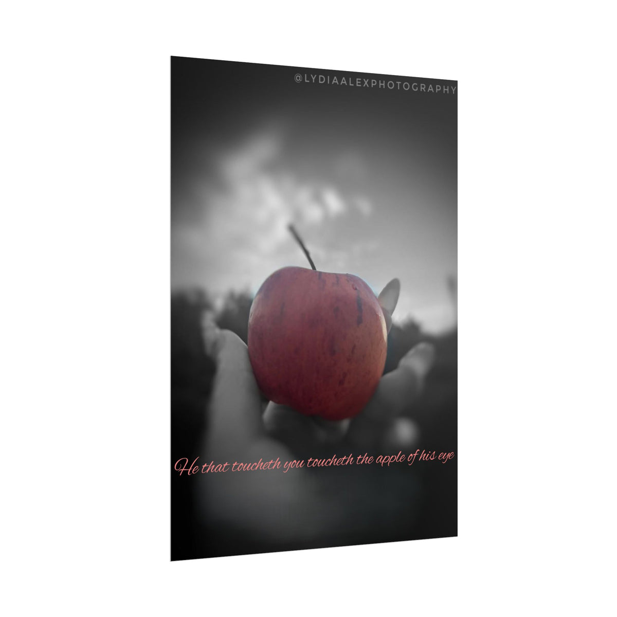 Rolled Poster — Lydia Alex Photography   "He that toucheth you toucheth the apple of his eye"
